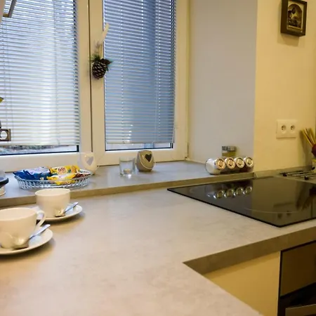 Apartman U Moravy Olomouc Exterior photo